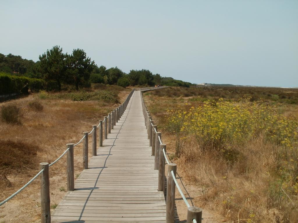 Bestvillas Park Ofir Esposende Zewnętrze zdjęcie